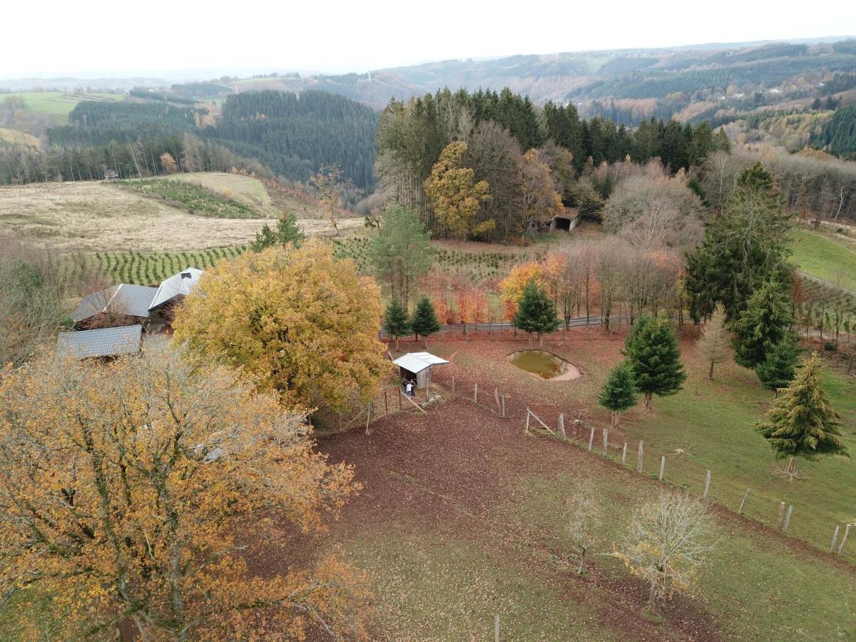 Villa Le Brocard Des Fagnes - 16 Pers Malmedy Exterior foto